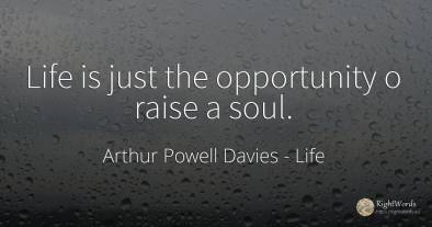 Life is just the opportunity o raise a soul.