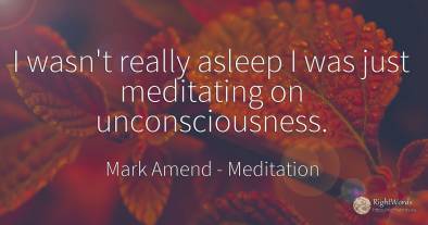 I wasn't really asleep I was just meditating on...