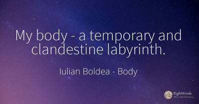 My body - a temporary and clandestine labyrinth.