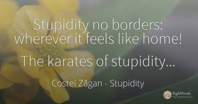Stupidity no borders: wherever it feels like home! The...