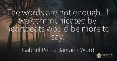 The words are not enough. If we communicated by...