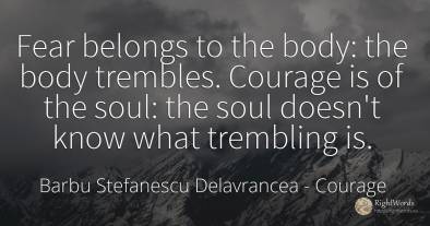 Fear belongs to the body: the body trembles. Courage is...