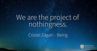 We are the project of nothingness.