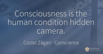 Consciousness is the human condition hidden camera.
