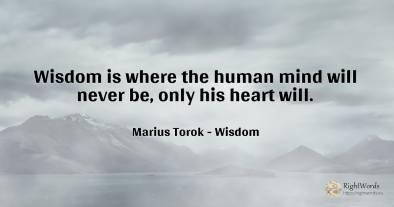 Wisdom is where the human mind will never be, only his...