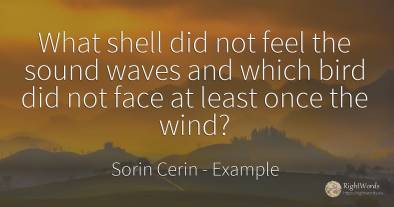 What shell did not feel the sound waves and which bird...