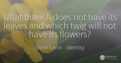 What branch does not have its leaves and which twig will...