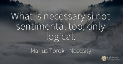 What is necessary si not sentimental too, only logical.