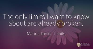 The only limits I want to know about are already broken.