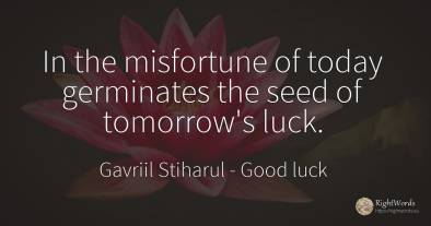 In the misfortune of today germinates the seed of...