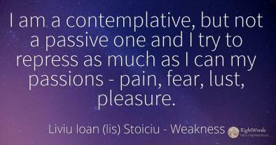 I am a contemplative, but not a passive one and I try to...
