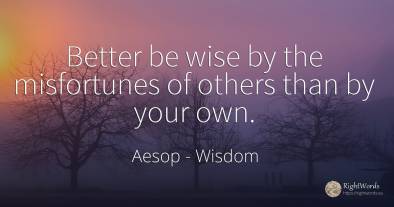 Better be wise by the misfortunes of others than by your...