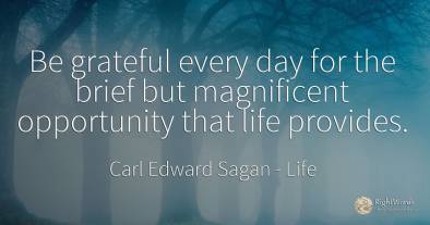 Be grateful every day for the brief but magnificent...
