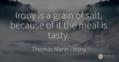 Irony is a grain of salt, because of it the meal is tasty.