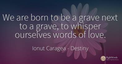 We are born to be a grave next to a grave, to whisper...