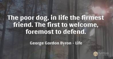 The poor dog, in life the firmest friend. The first to...