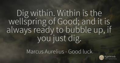 Dig within. Within is the wellspring of Good; and it is...