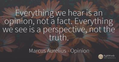 Everything we hear is an opinion, not a fact. Everything...