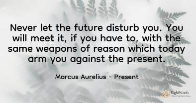 Never let the future disturb you. You will meet it, if...