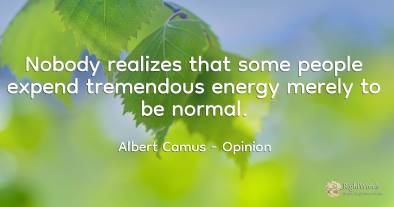 Nobody realizes that some people expend tremendous energy...