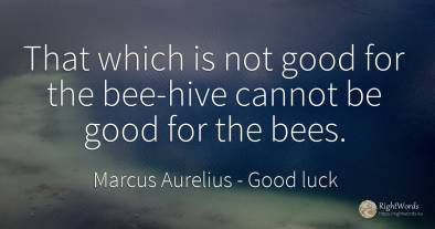 That which is not good for the bee-hive cannot be good...