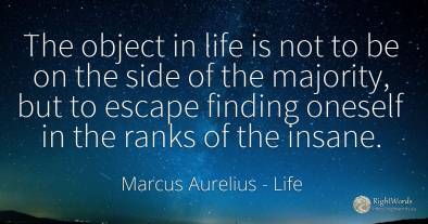 The object in life is not to be on the side of the...