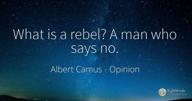 What is a rebel? A man who says no.