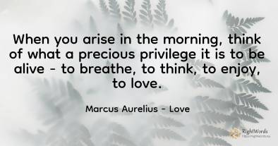 When you arise in the morning, think of what a precious...