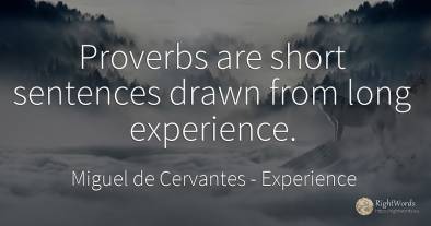Proverbs are short sentences drawn from long experience.