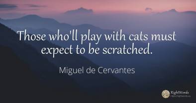Those who'll play with cats must expect to be scratched.