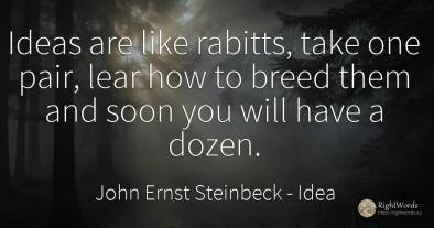 Ideas are like rabitts, take one pair, lear how to breed...
