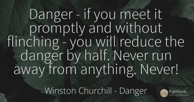 Danger - if you meet it promptly and without flinching -...