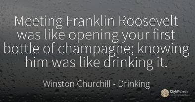 Meeting Franklin Roosevelt was like opening your first...