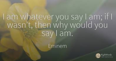 I am whatever you say I am; if I wasn't, then why would...