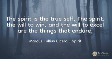 The spirit is the true self. The spirit, the will to win, ...