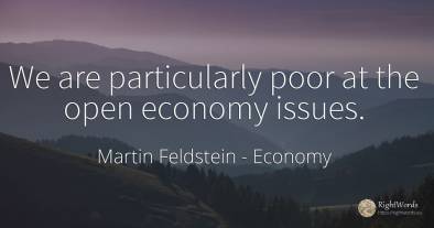 We are particularly poor at the open economy issues.