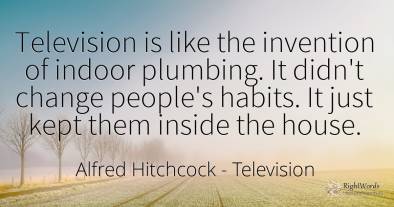 Television is like the invention of indoor plumbing. It...