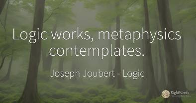 Logic works, metaphysics contemplates.