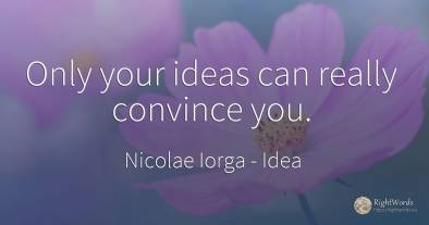 Only your ideas can really convince you.